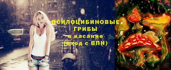 эйфоретик Балахна