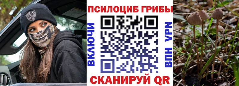 OMG сайт Верхняя Пышма Галлюциногенные грибы мухоморы купить наркотик